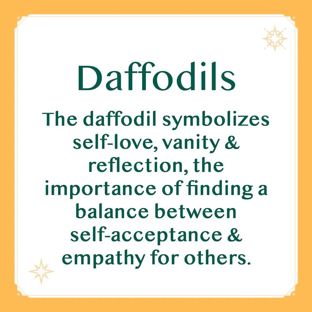 Daffodil 2.jpg