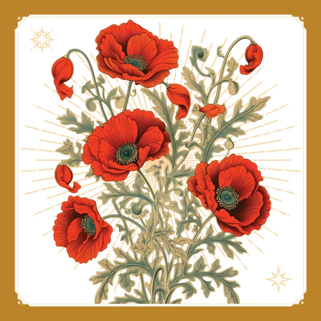 Poppies 1.jpg
