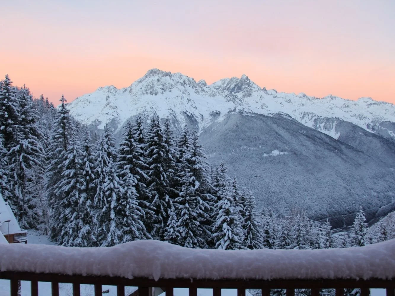 Snow-covered pine trees in the foreground with a mountain range and a pink horizon at sunset or sunrise in the background.