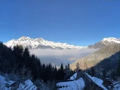 Snow-capped mountains under a clear blue sky with a forested hillside and rooftops in the foreground.