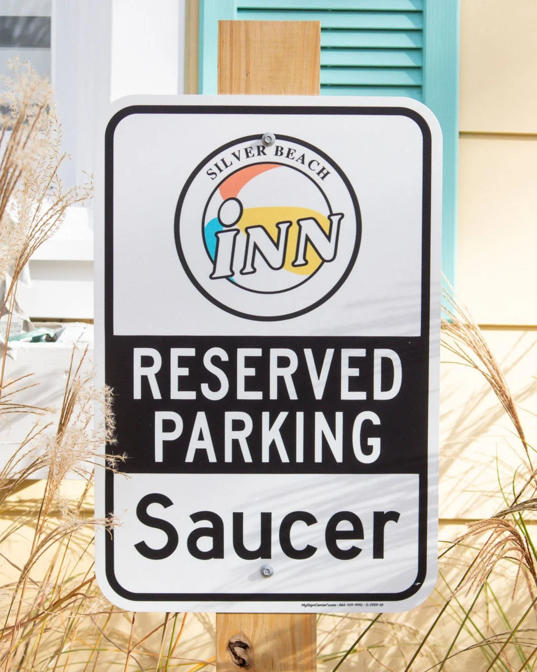 SBI SAUCER 11-28-24-01.jpg