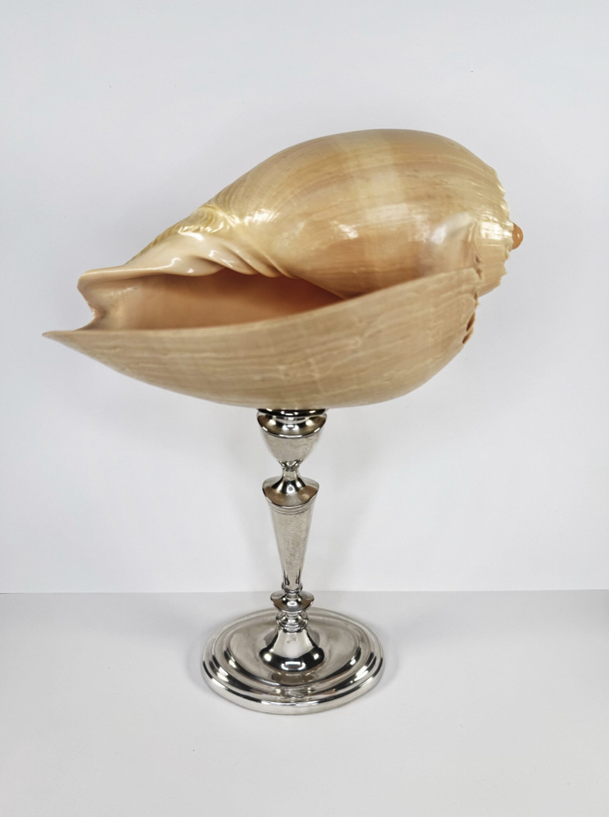 Screenshot 2026-02-17 at 18.21.54.png