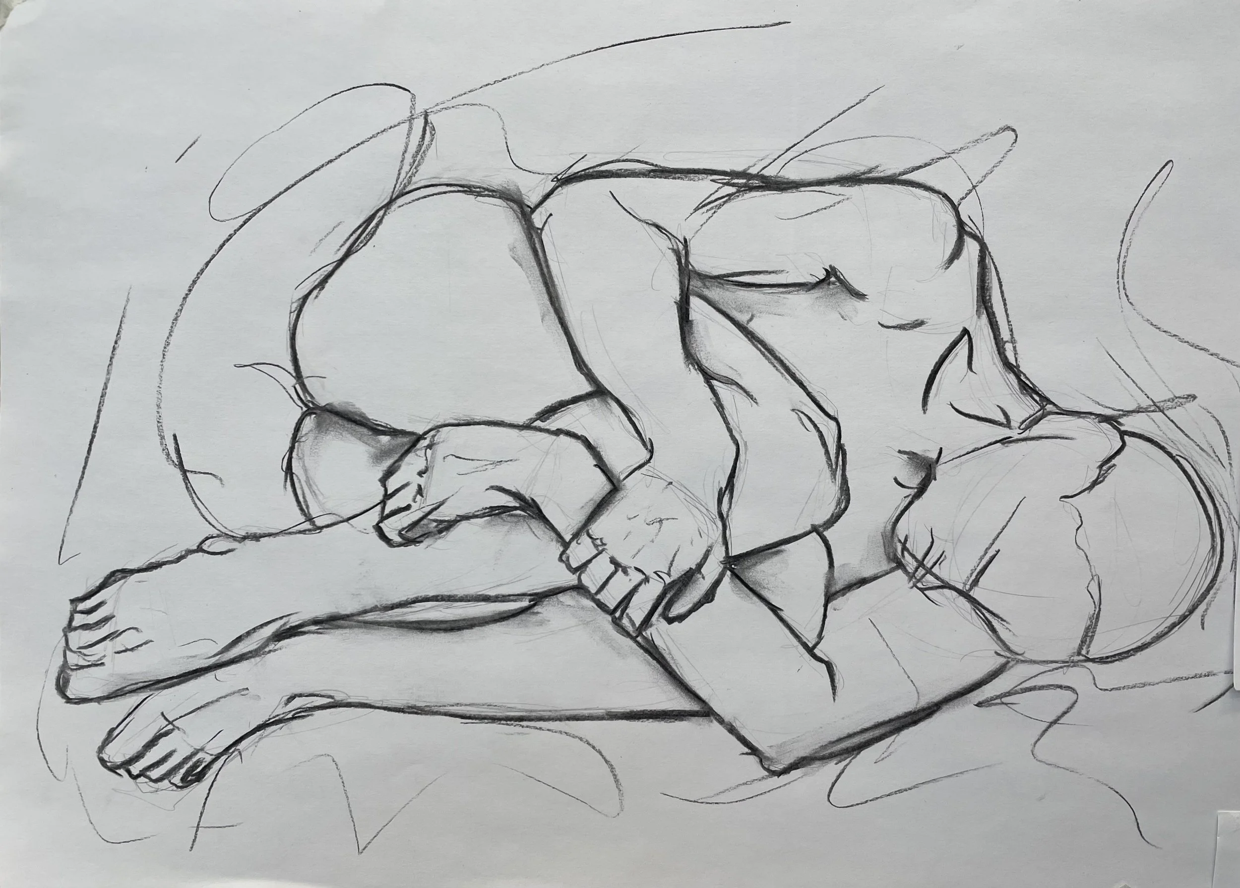 2025, 'Exposed', Charcoal on A3 paper