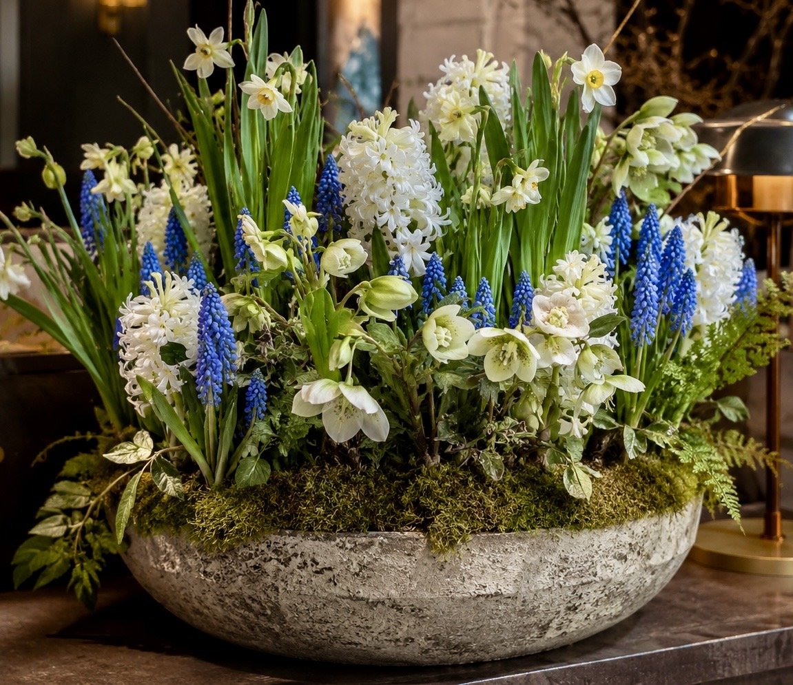 Arranged white and blue flowers in a large stone bowl planter.