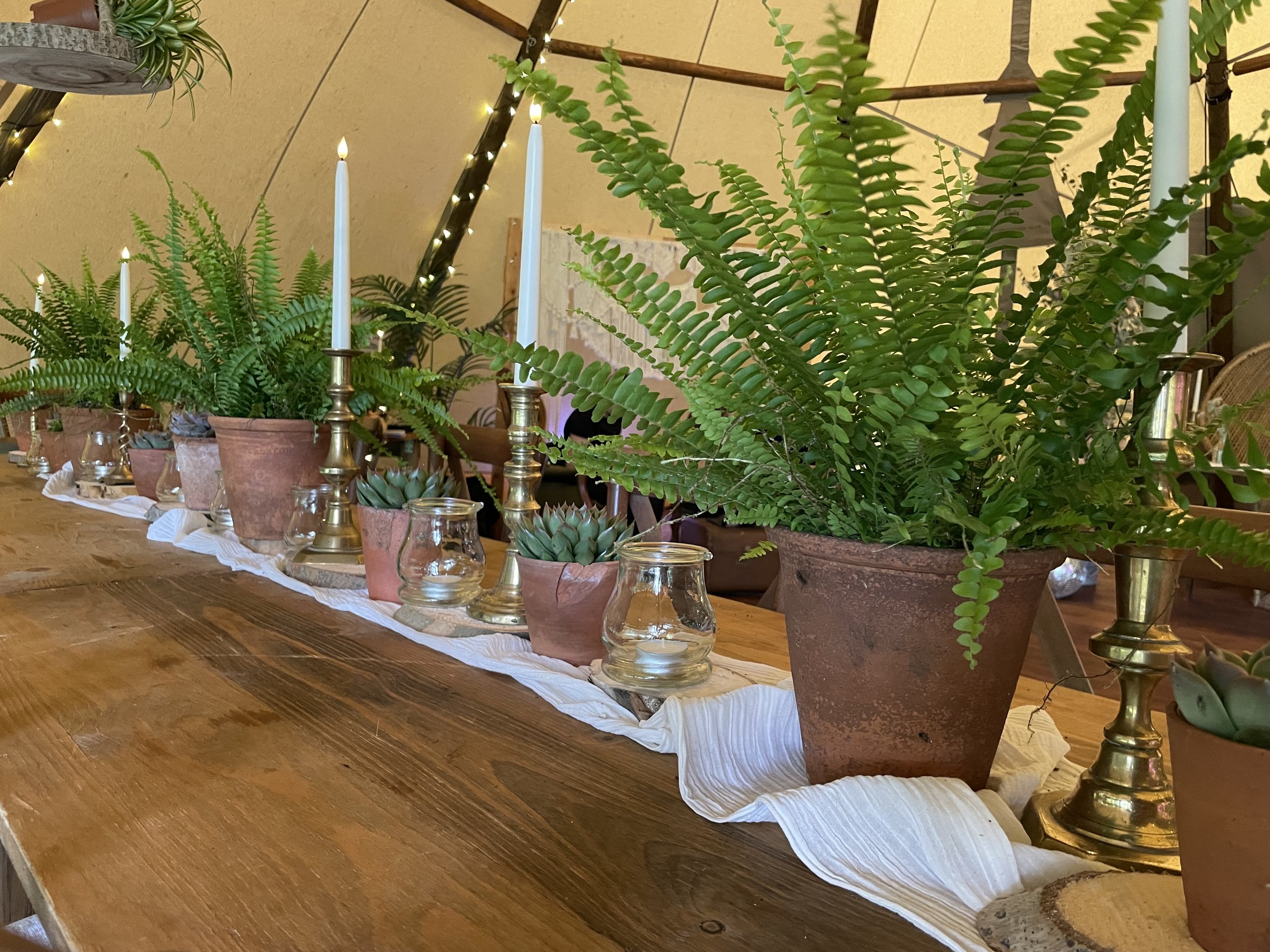 A table decorated with large potted green ferns, candle holders with white candles, small glass candle holders, and succulents, with a white table runner underneath, in a cozy indoor setting with cream-colored walls and fairy lights.