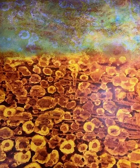 Field of Sunflowers  Acrylic on Canvas- 42 x 30cm 