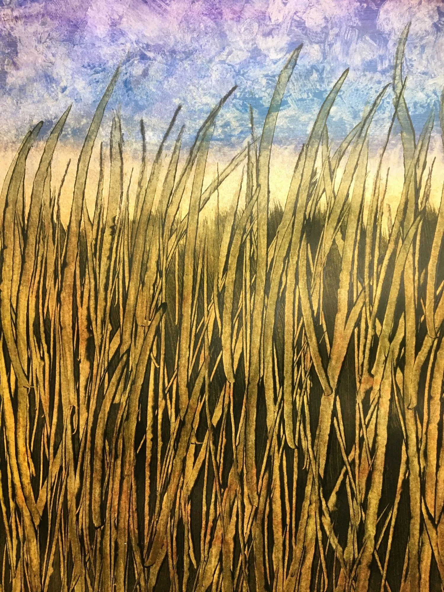 Cornfield Sunrise.jpg