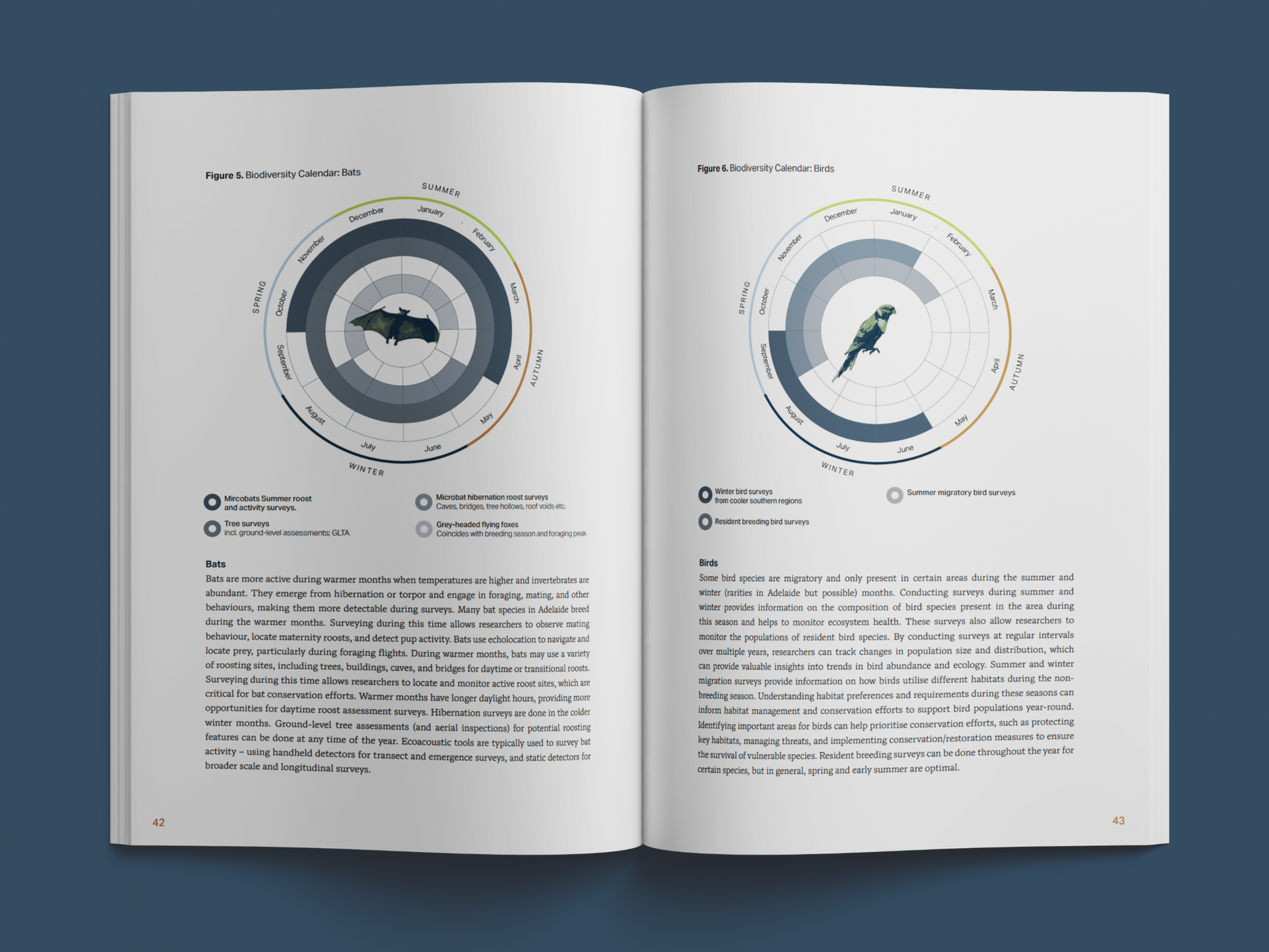 Shaping biodiversity research and data for the Adelaide Park Lands