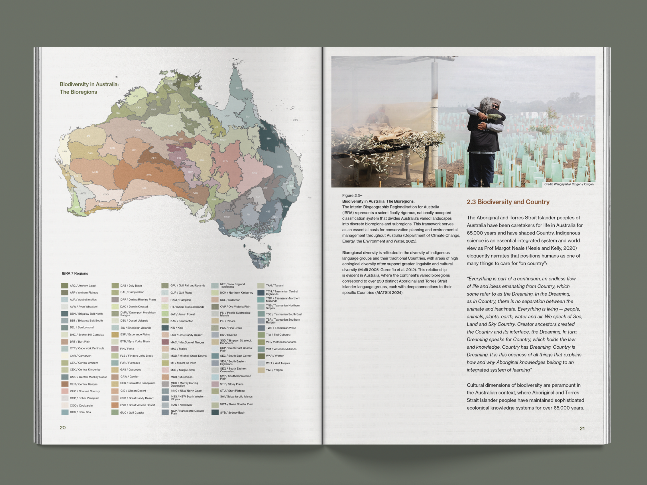 Visualising biodiversity positive design for landscape architecture