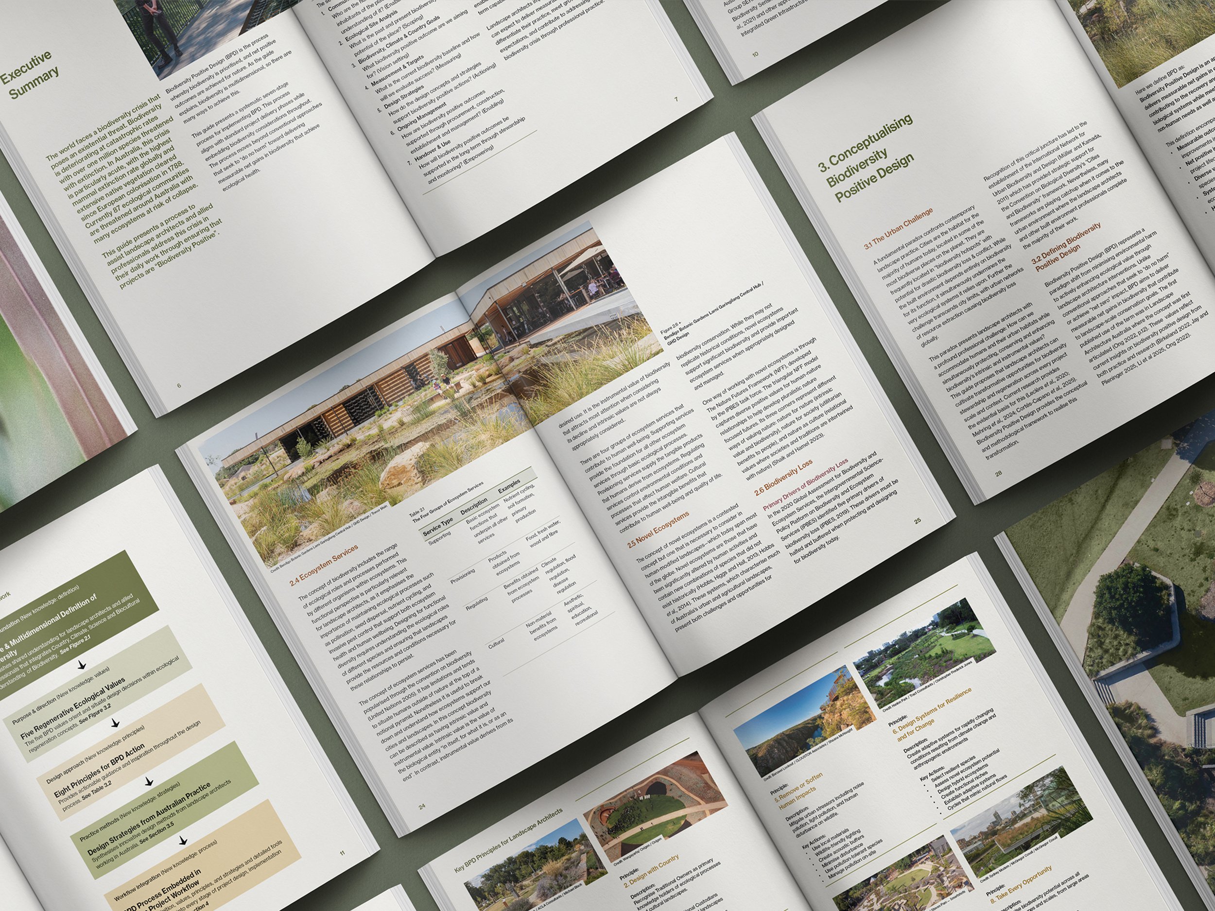 Multiple spreads from the  AILA Biodiversity Positive Design Guide 