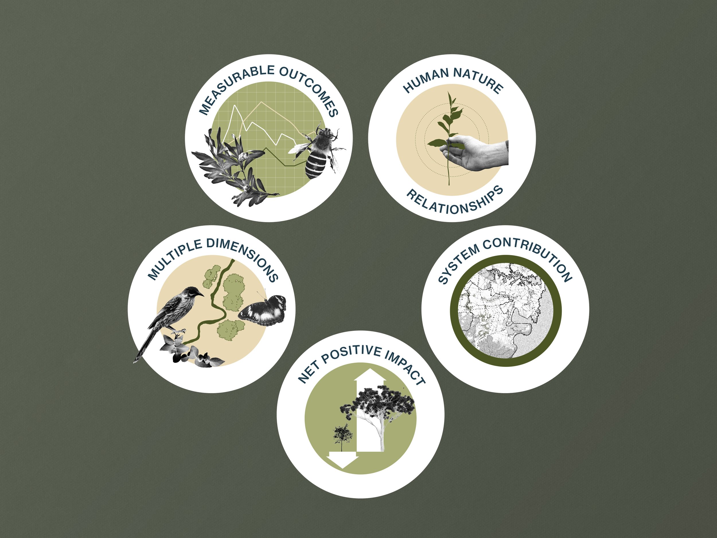 Open spread from the AILA guide showing biodiversity climate and country goals with ecological photography and illustrated species