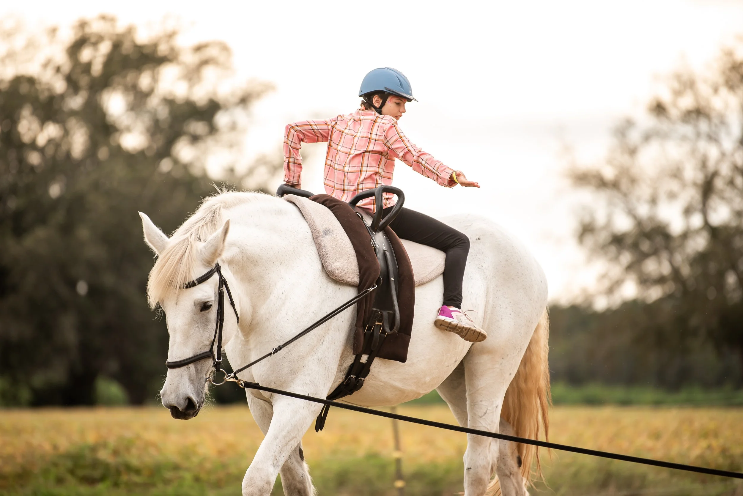 A young girl in a blue helmet and pink plaid shirt balancing on a white horse in an open field.
