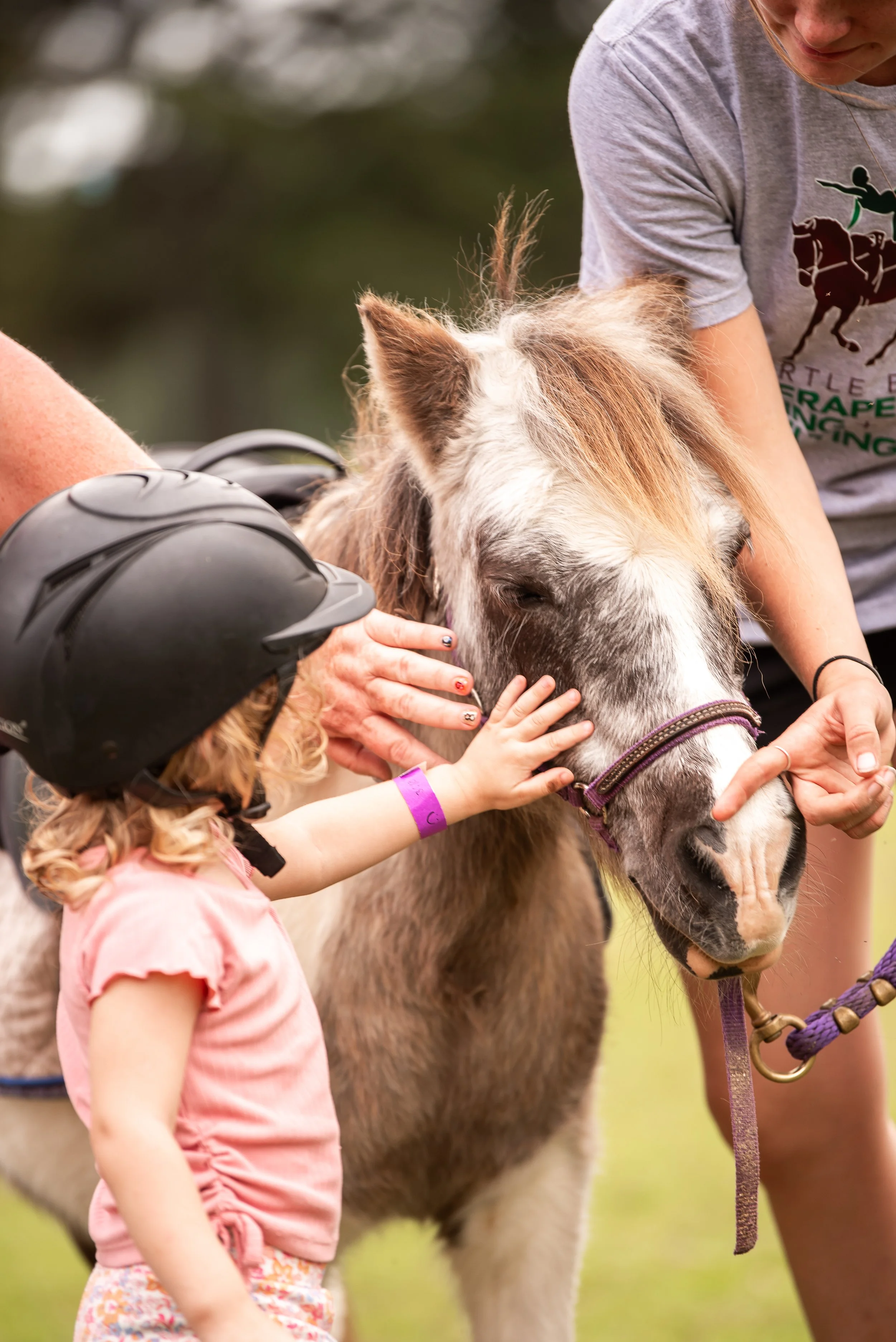 A girl with a helmet reaching out to touch a horse's face with an adult supervising.