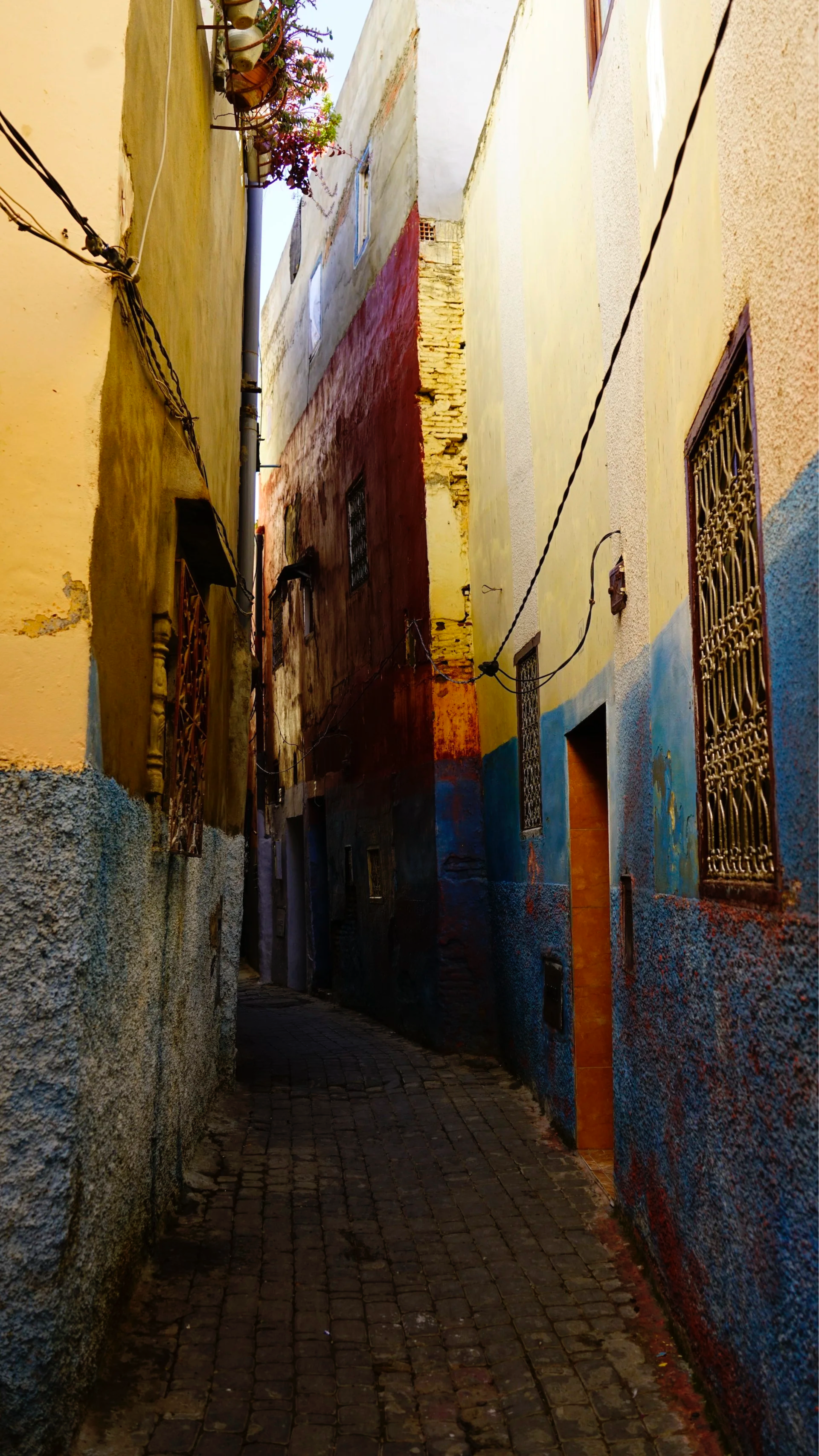 _DSC3158.png