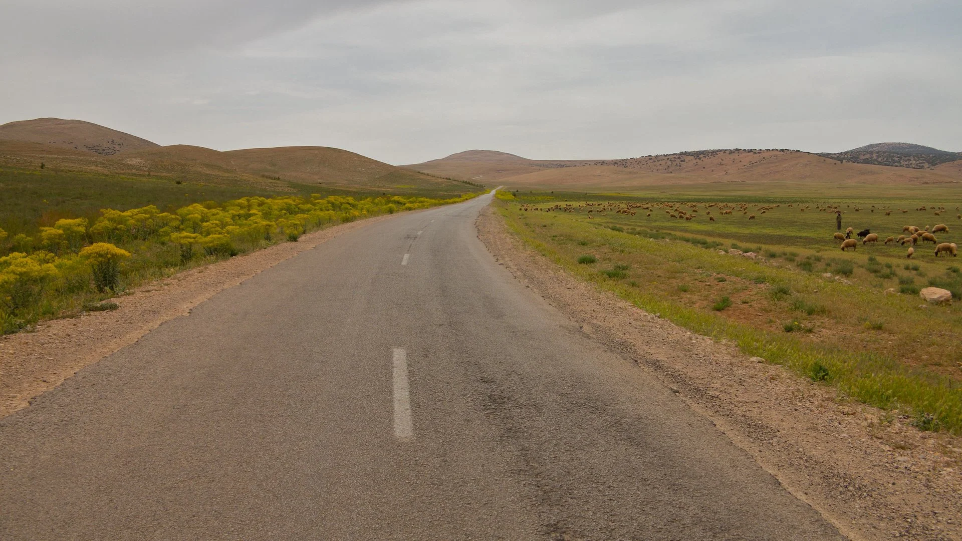 The road Morocco.jpg