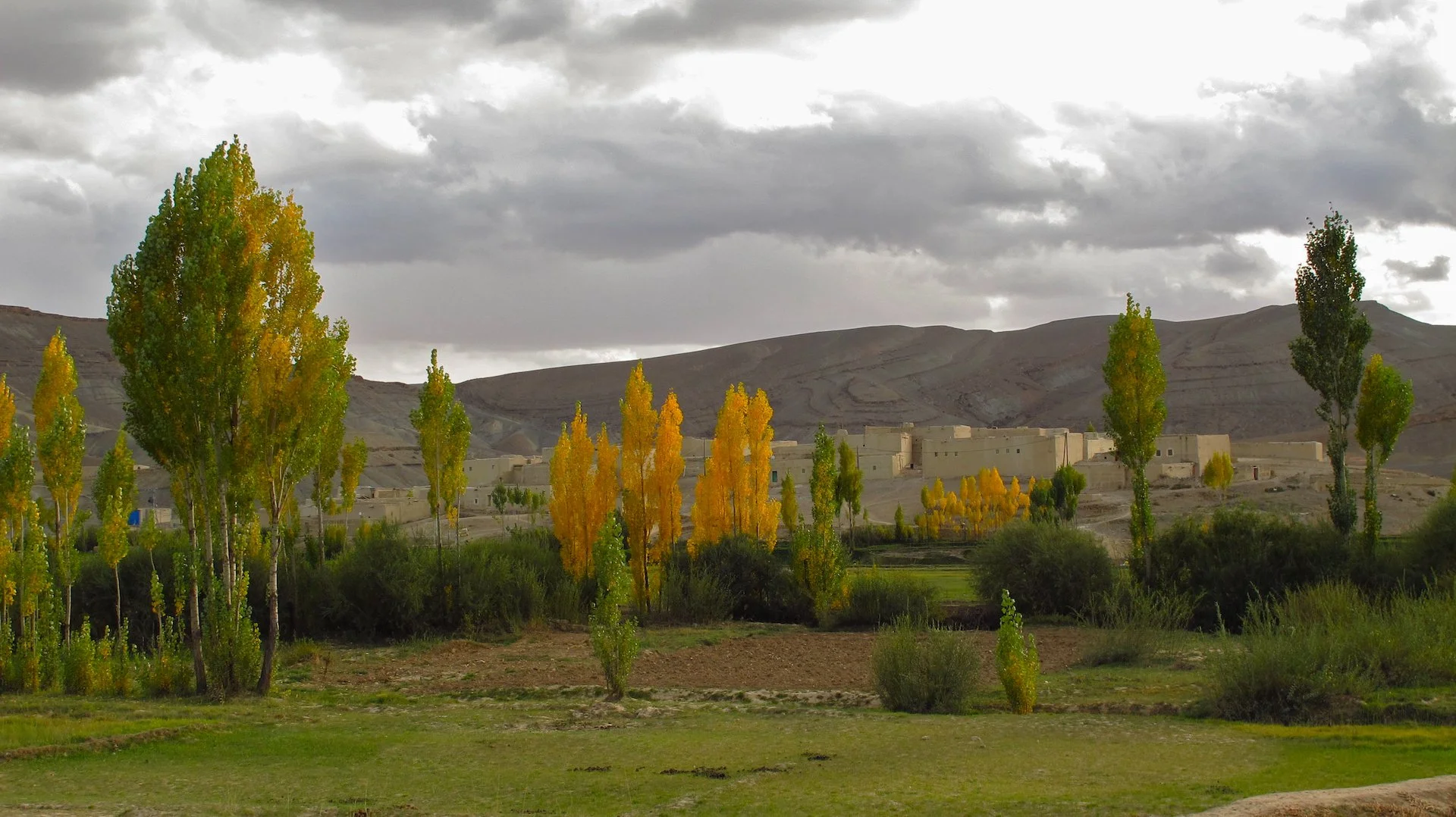 Paysage 35.jpg