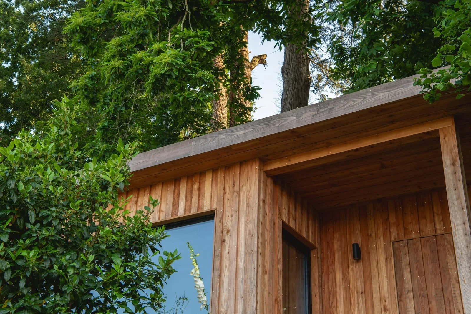 Close-up of a modern wooden house exterior with trees and greenery surrounding the structure.