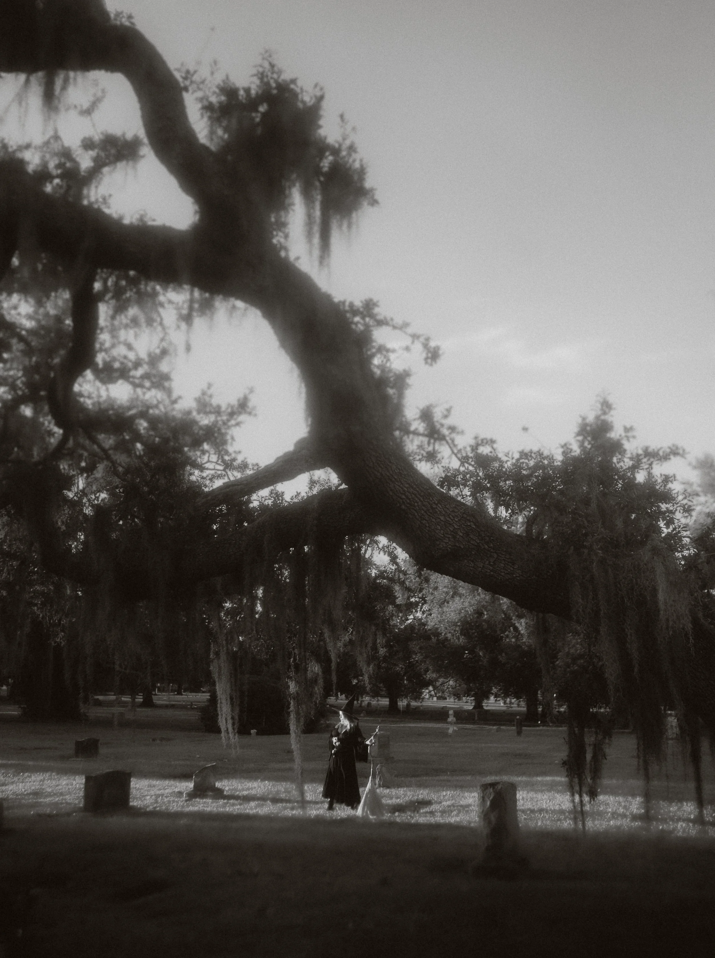 witch_cemetary26.jpg