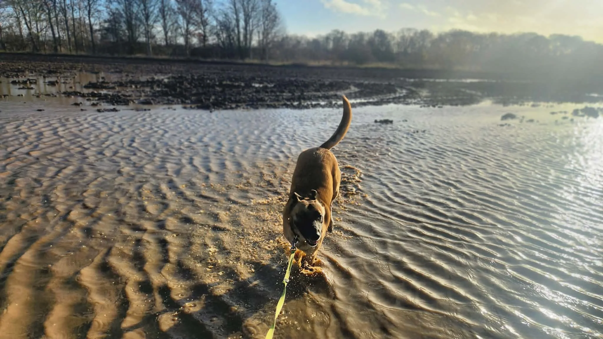 Evie showing how to have fun even in winter!