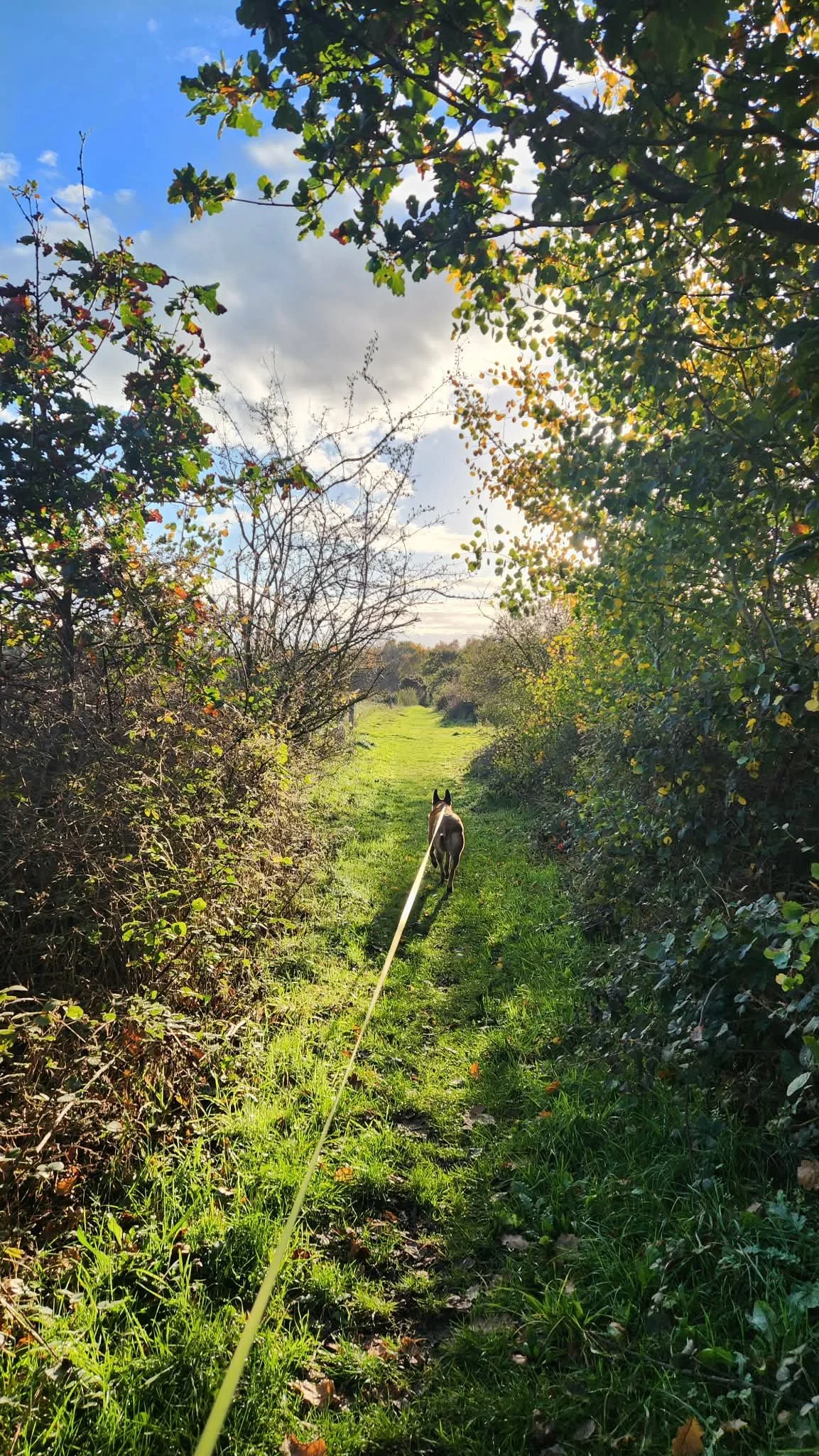 Evie loves an adventure!