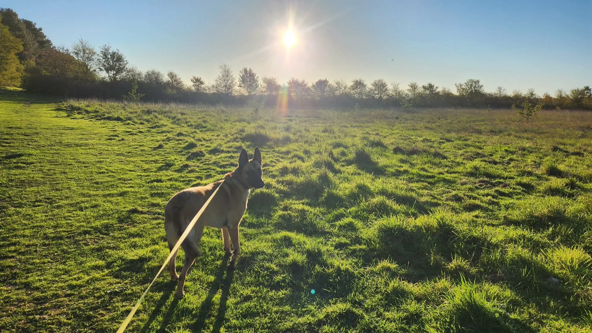 Sometimes you just need to stop and enjoy a picturesque moment with a fantastic friend. Evie and her sister Addie are perfectly photogenic for just such a moment!