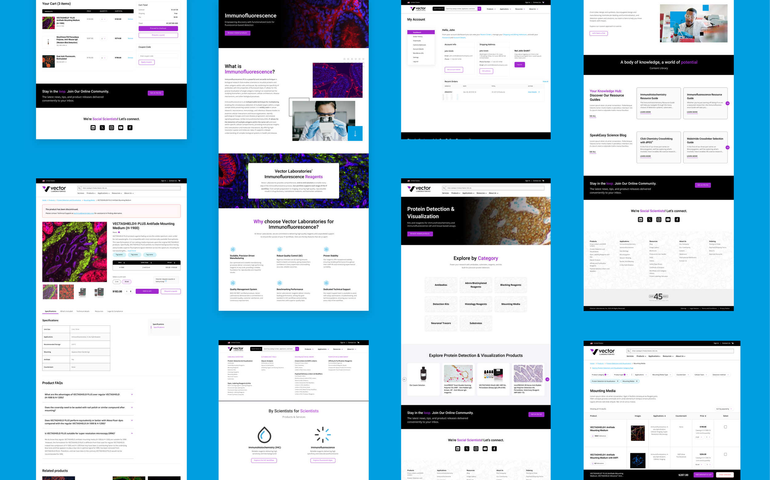 Wireframes.png