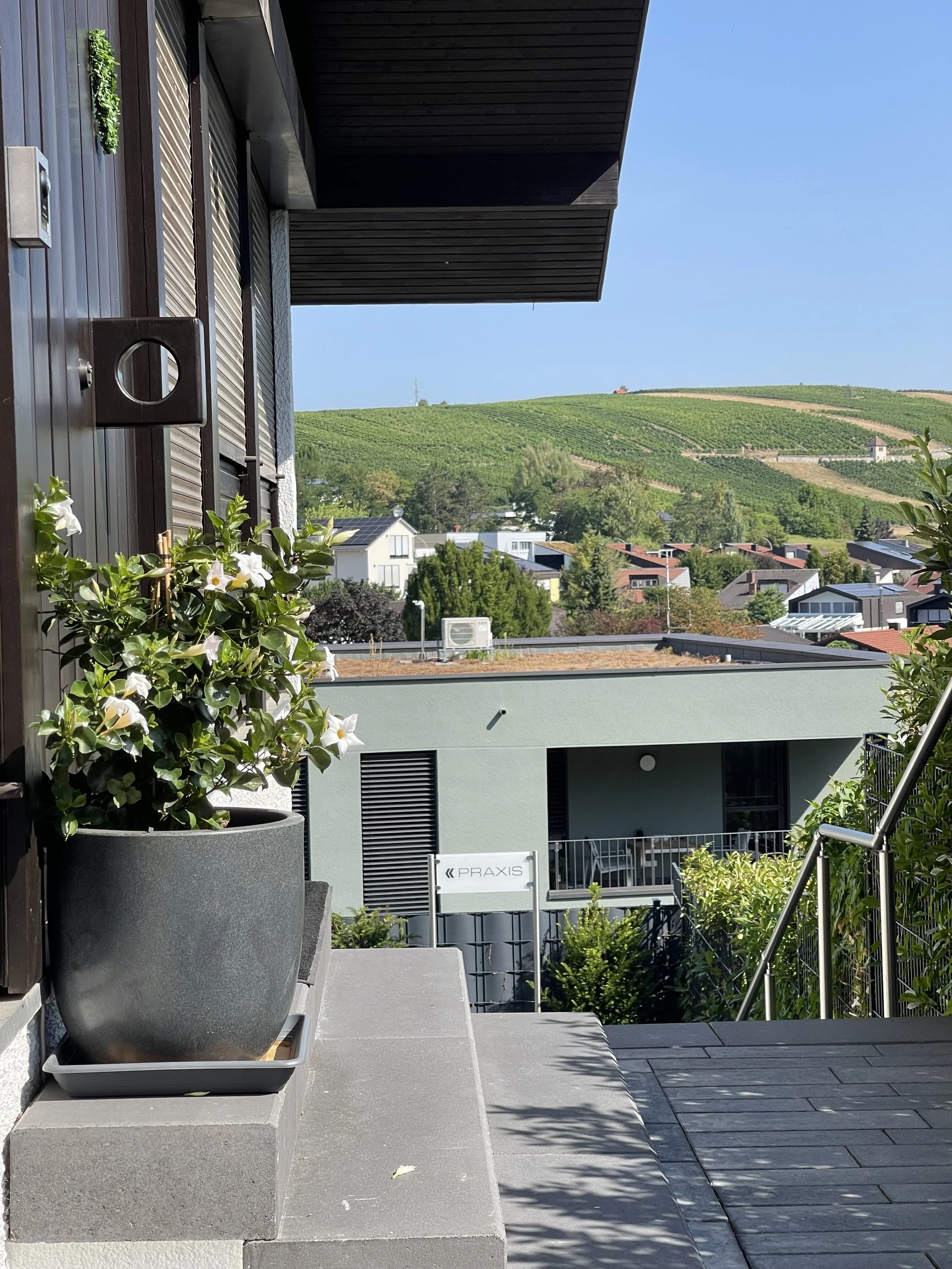 Blick von einer Terrasse auf ein Wohngebiet mit Hügeln im Hintergrund und Weinbergen auf den Hügeln bei klarem Himmel, im Vordergrund Pflanze in einem großen schwarzen Topf, Terrassenboden aus dunklen Fliesen, teilweise Schatten durch die Überdachung des Balkons.