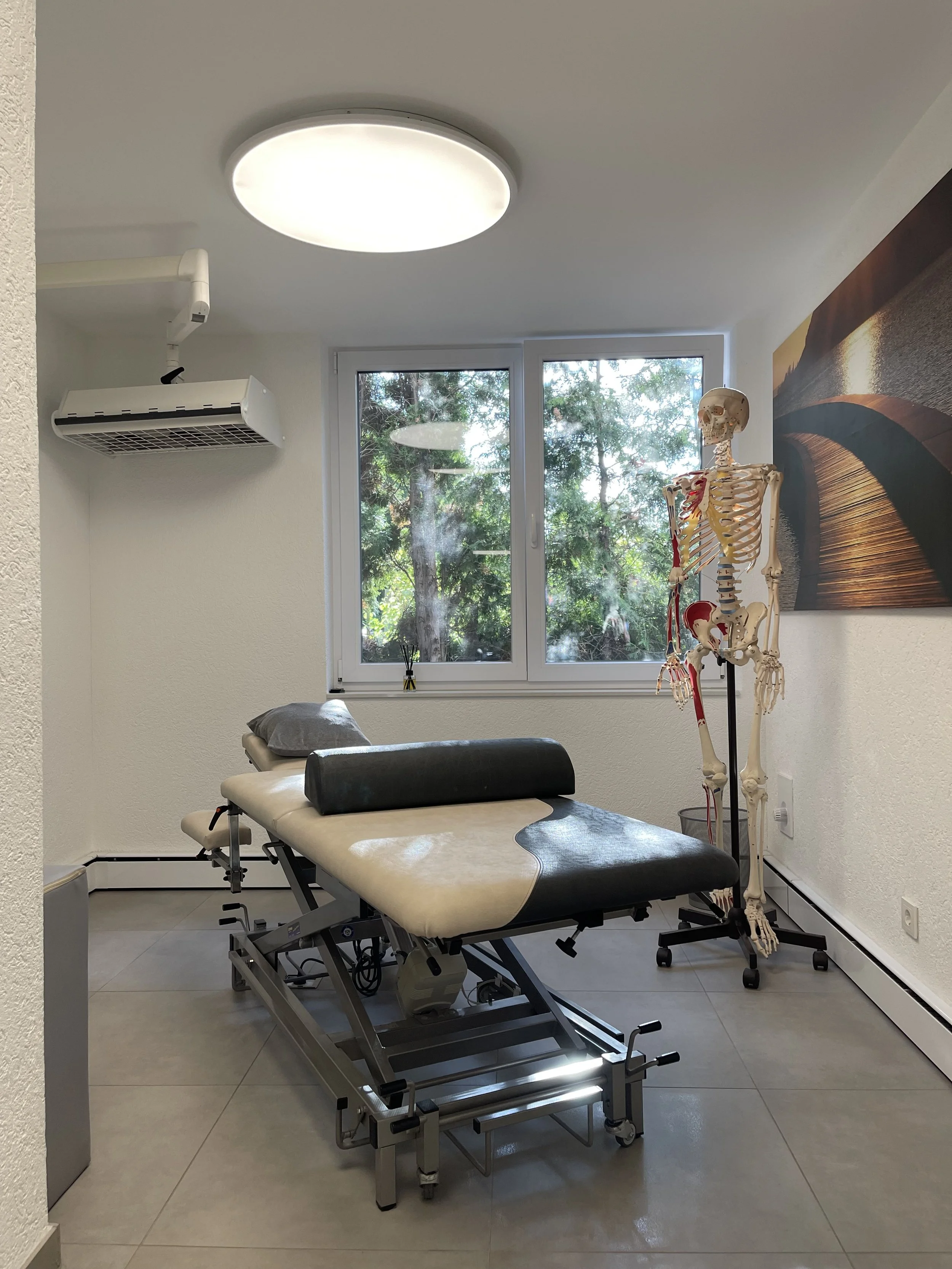 Behandlungsraum mit Untersuchungsliege, anatomischem Skeleton, Fenster mit Blick auf Bäume, Deckenleuchte und Wandbild.