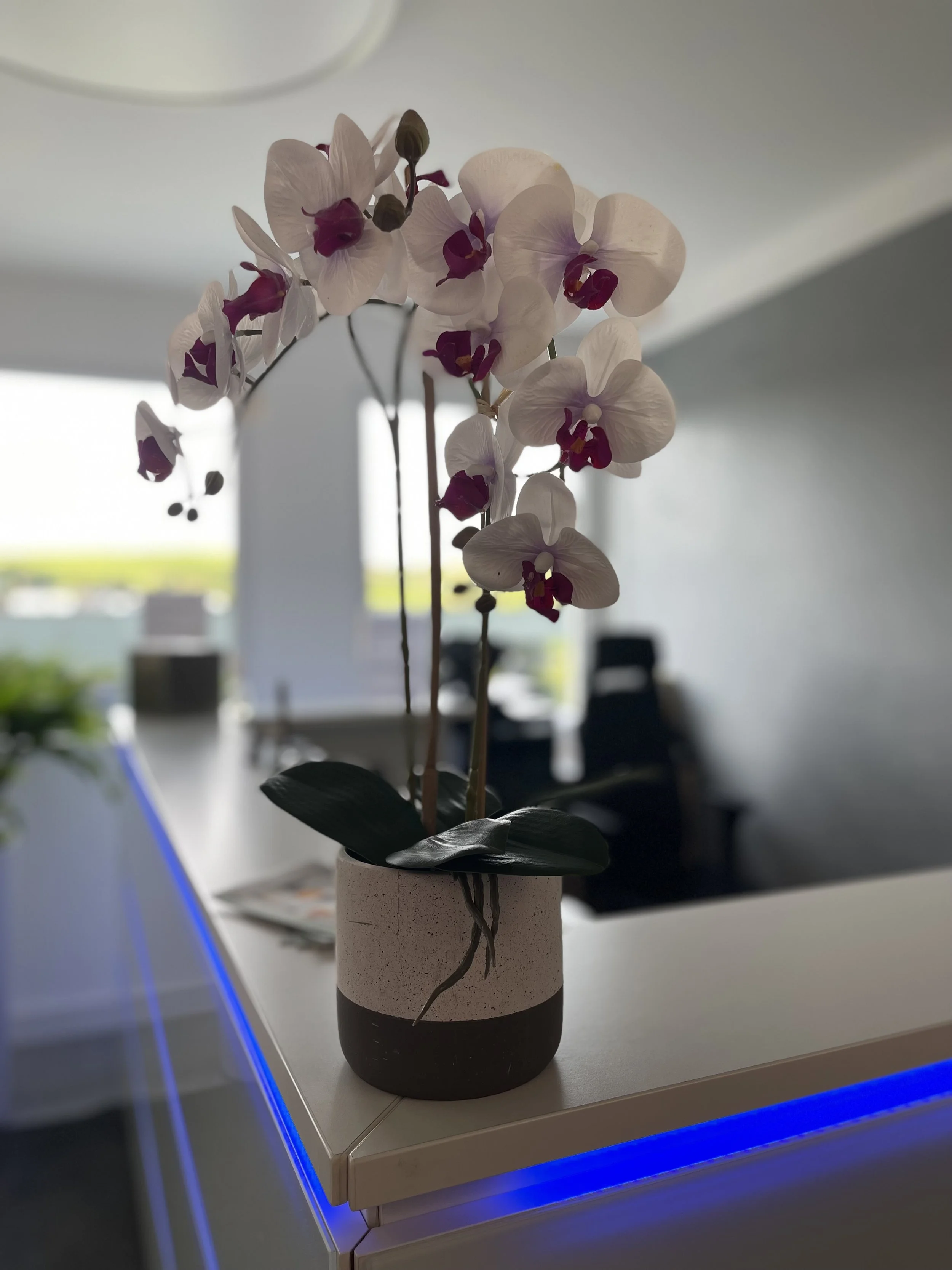 Weiße Orchideen in einer braunen und weißen Vase auf einem weißen Tisch in einem modernen Raum.