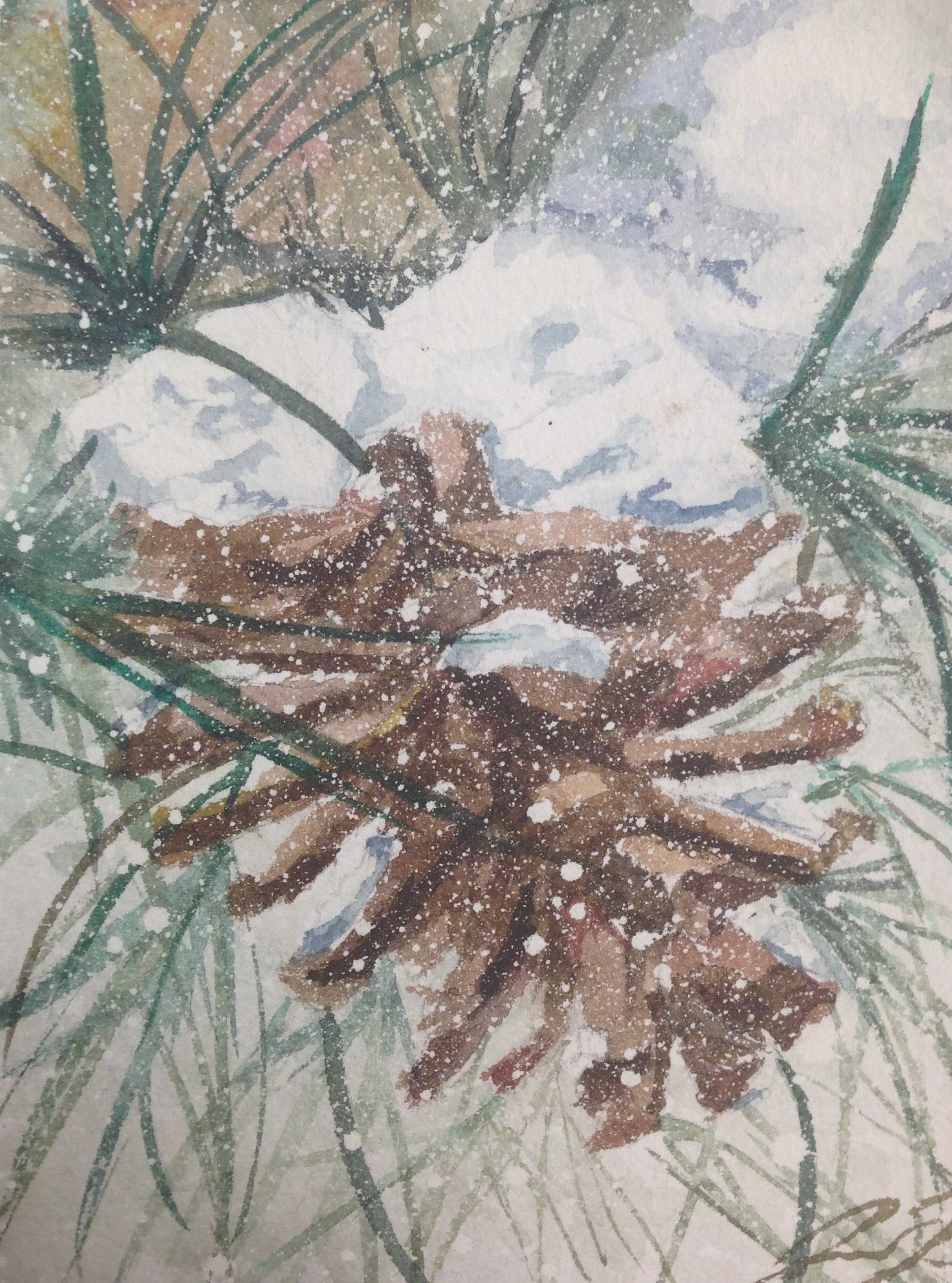 A watercolor painting of pine cones and pine needle branches with a snow-like splatter effect.