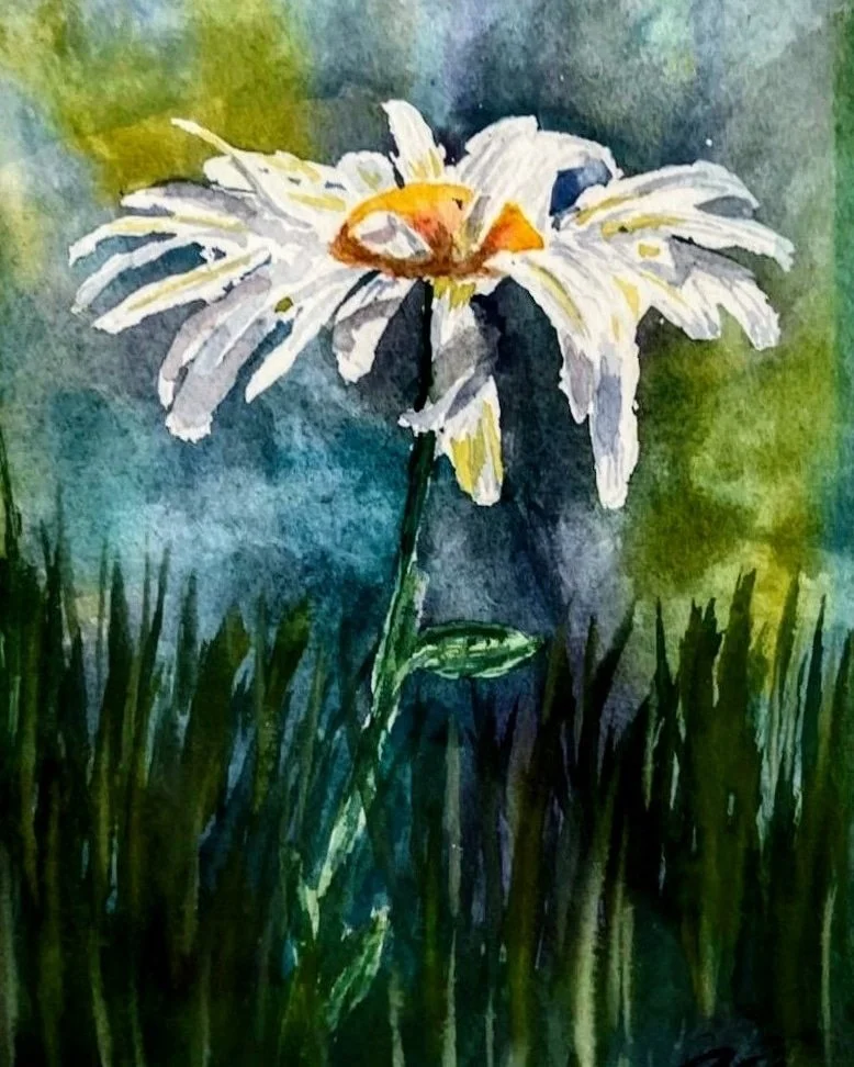 A mothers Daisy (Print)