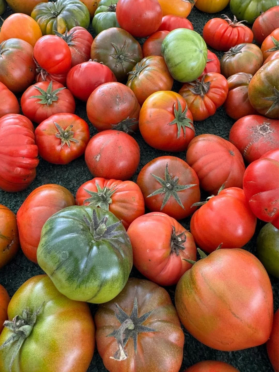 Heirloom tomatoes at a farmers market
