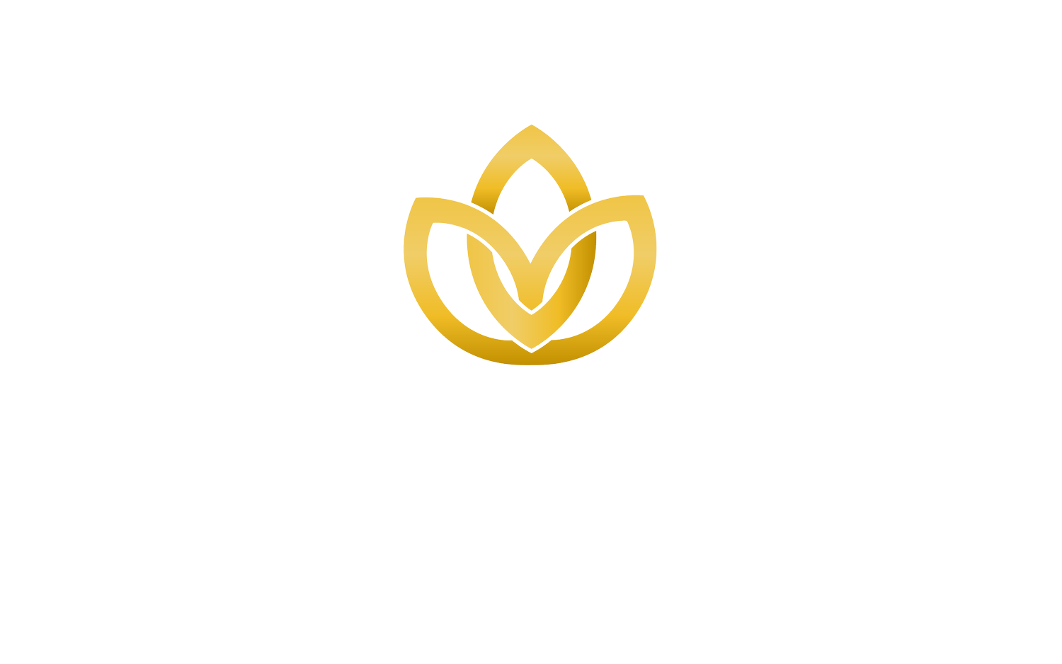 Lotus Car Detail