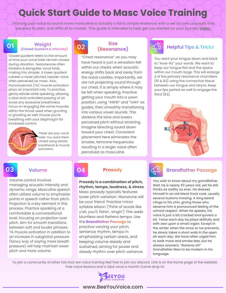 Purple and white quick start guide for masculine transgender voice training including four principles of size, weight, volume and prosody.