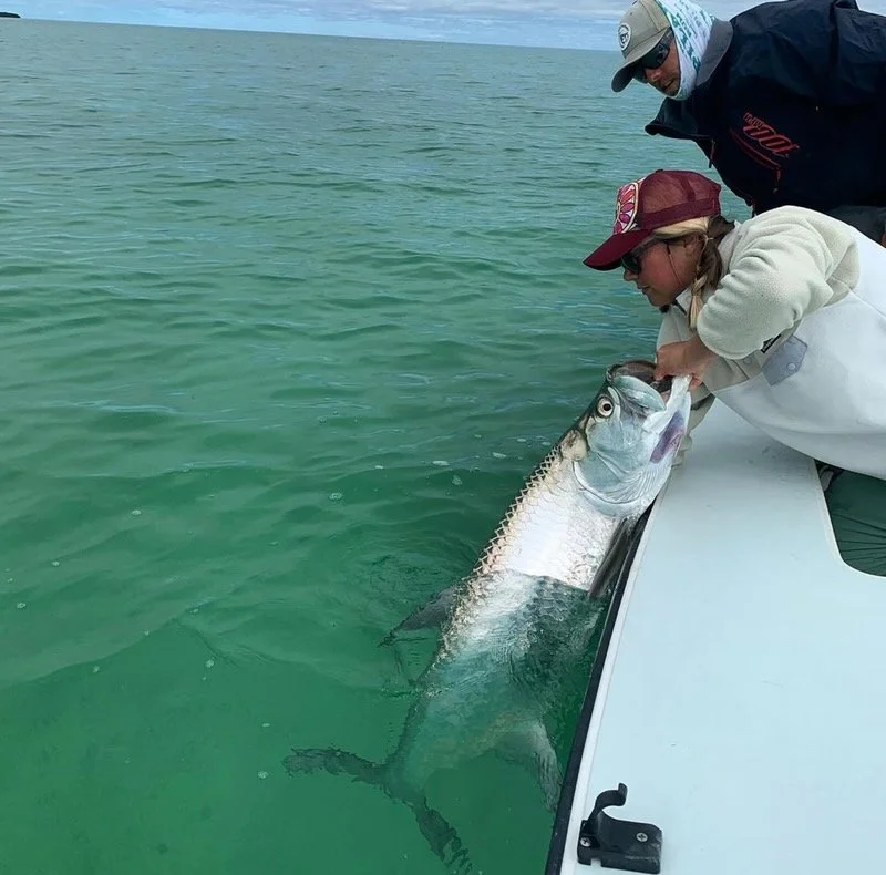 “Angler releasing a giant silver tarpon boatside in the clear waters of the Florida Keys.”