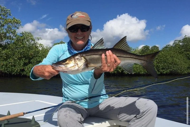 Angler holding a snook caught on fly in the Florida Everglades. This backcountry trip in a poling skiff explores mangrove shorelines and no motor zones, where snook, redfish, and juvenile tarpon are often eager to eat flies.