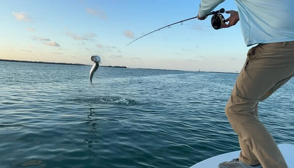 There’s nothing like hooking into a tarpon in the Florida Keys as the sun comes up. This silver king launched out of the water, showing off its power and speed against light tackle. Tarpon fishing in Islamorada and the Keys is world-famous for moment