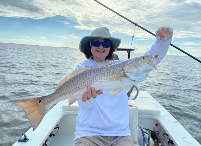 Fly fishing for redfish in the Florida Keys and Everglades offers thrilling sight fishing action. Big tailing reds crush flies in shallow water, making for unforgettable days on the flats with expert guides.