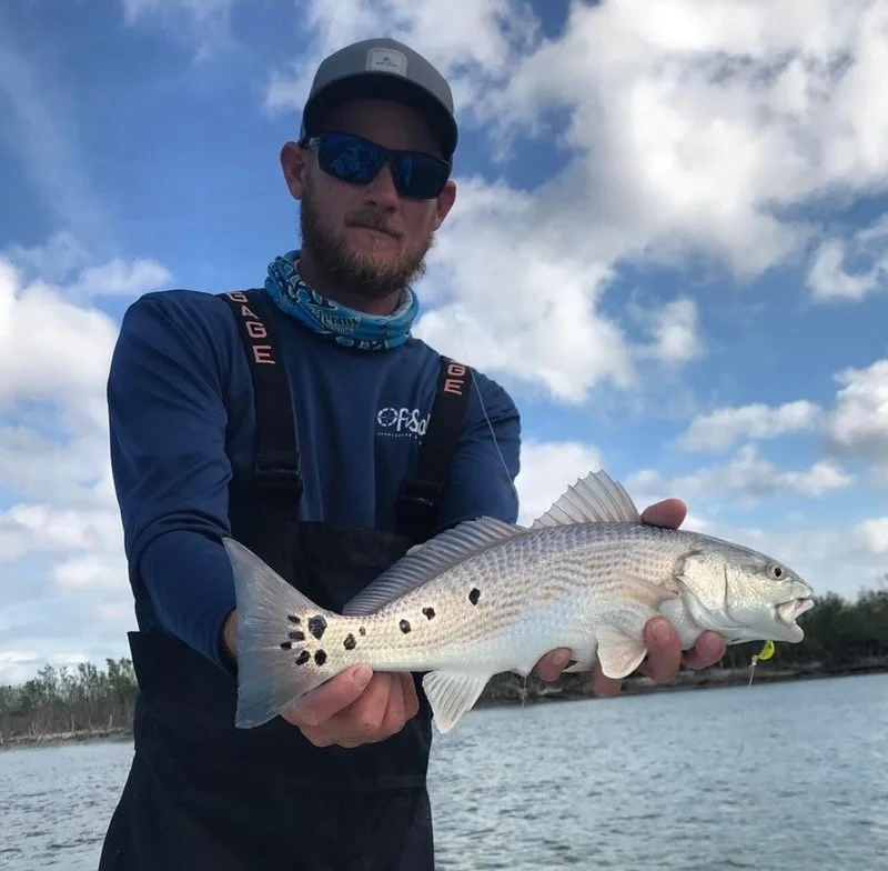 Fly fishing guide holding a spotted redfish caught in the Florida Everglades backcountry.