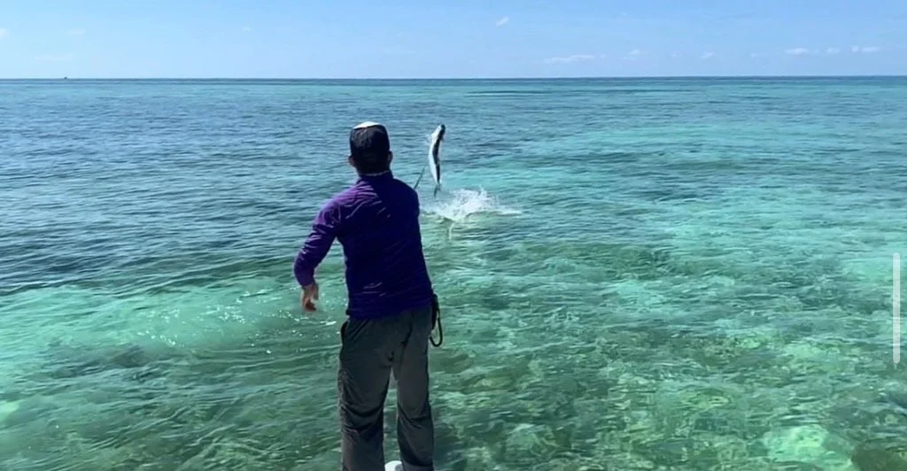“Angler fights a jumping tarpon on clear turquoise flats in the Florida Keys.”