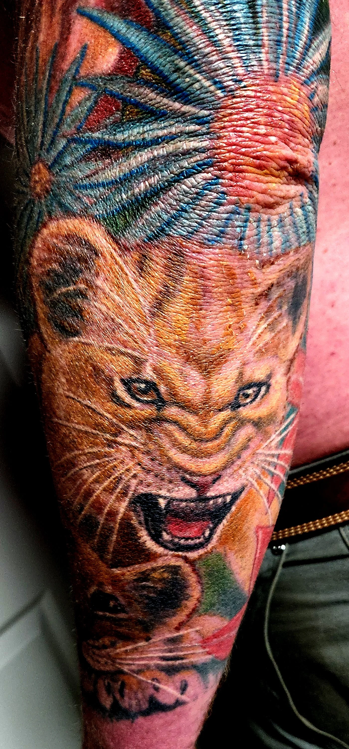 Detail from Lion Family sleeve done by Colin Nolt at Epicdermis Tattoo Studio Lancaster PA