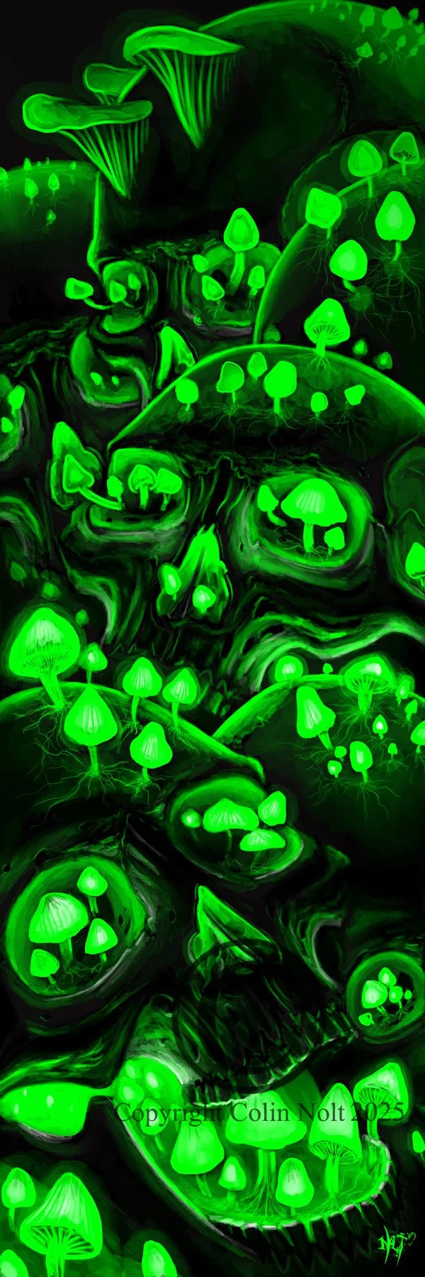 Bioluminescent mushrooms and skulls poster design by artist Colin Nolt at Epicdermis Tattoo Gallery in Lancaster Pennsylvania 