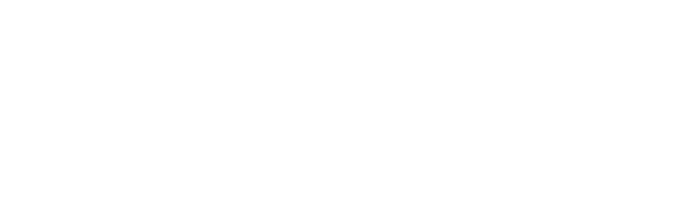 Decorative black rectangle with white leaf borders at the top and bottom.