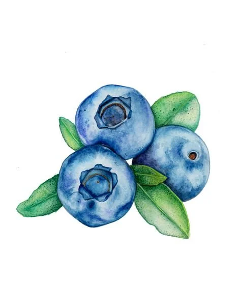 Watercolor painting of three blueberries with green leaves.