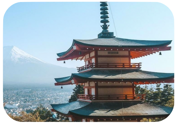 Japan Experience quadrupled its net margin in just 4 months.