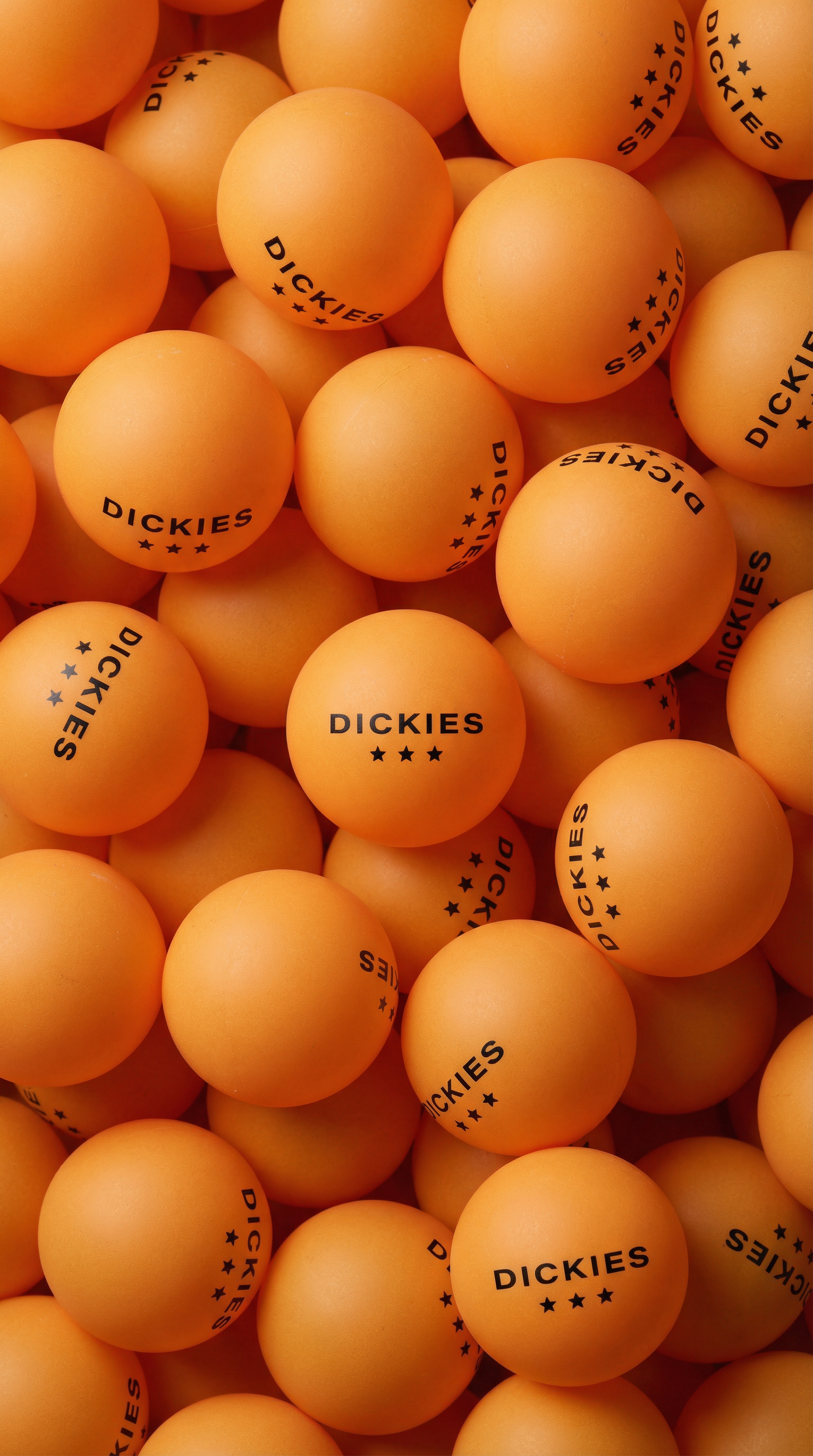 hf_20260203_135538_04c7d4c7-d2d7-4314-8f2e-3268f0389dfe.png