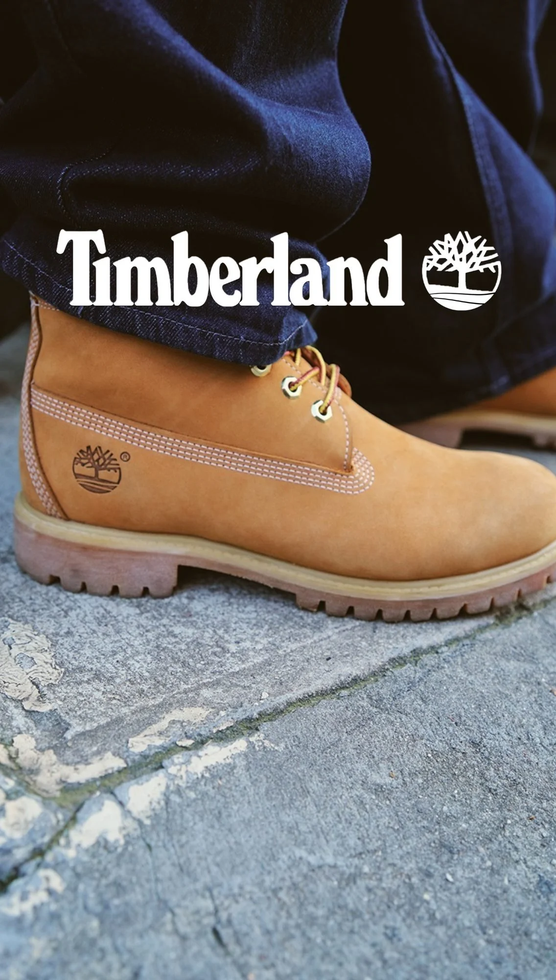 TIMBERLAND.jpg