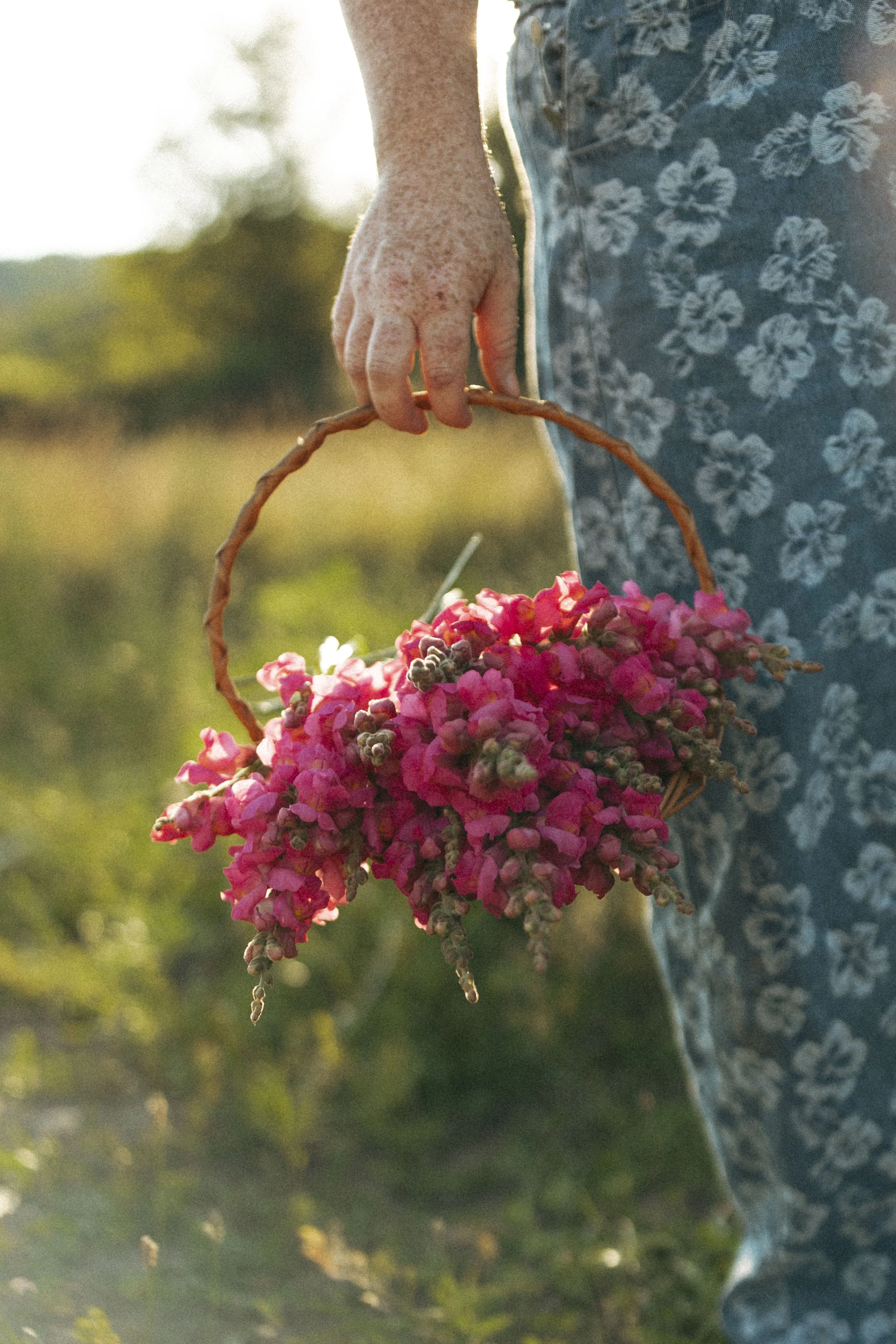 A person holding a basket of pink flowers outdoors during daylight.