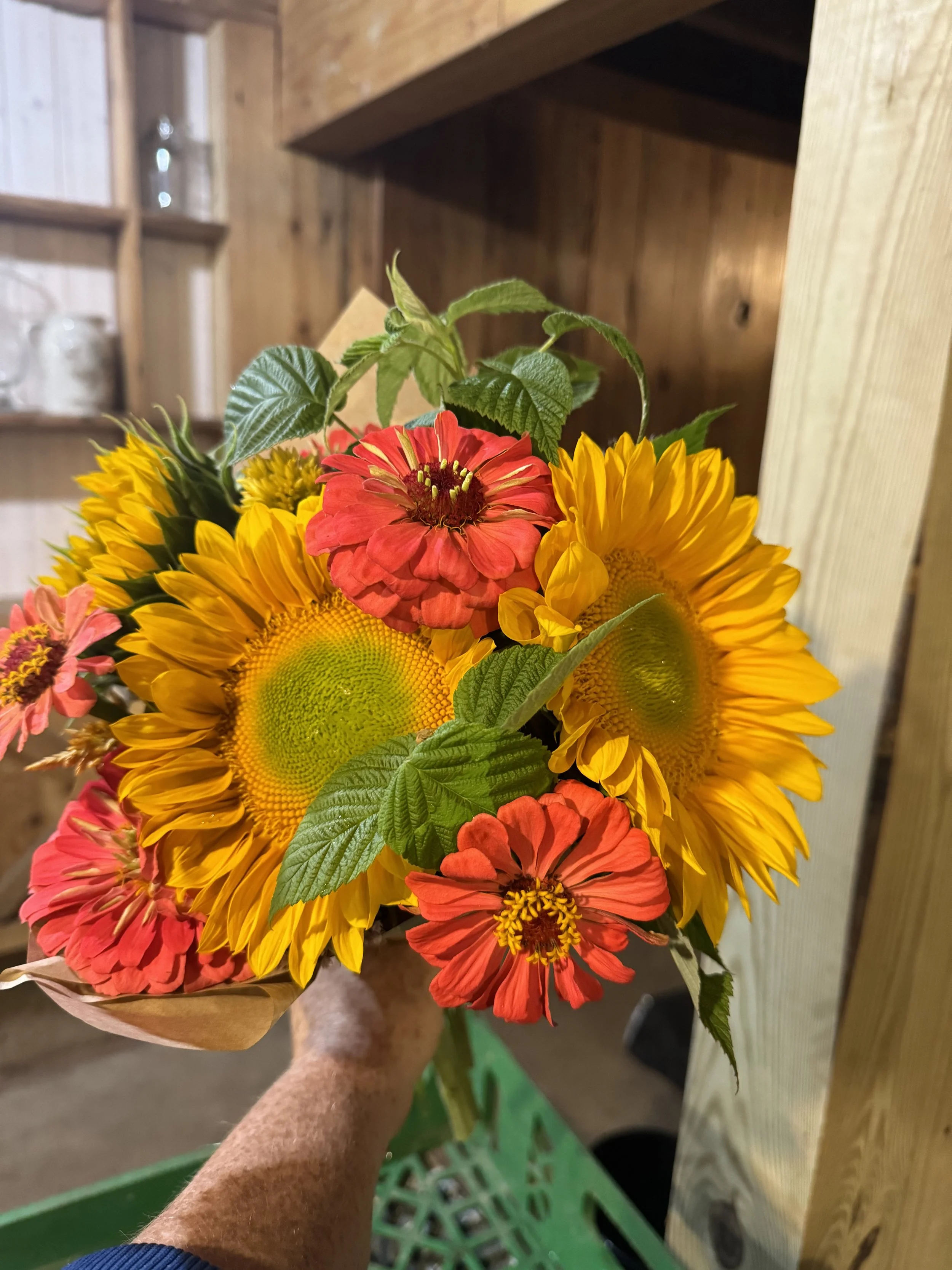 Hand holding a bouquet of colorful flowers, including sunflowers and zinnias, in a rustic wooden interior.