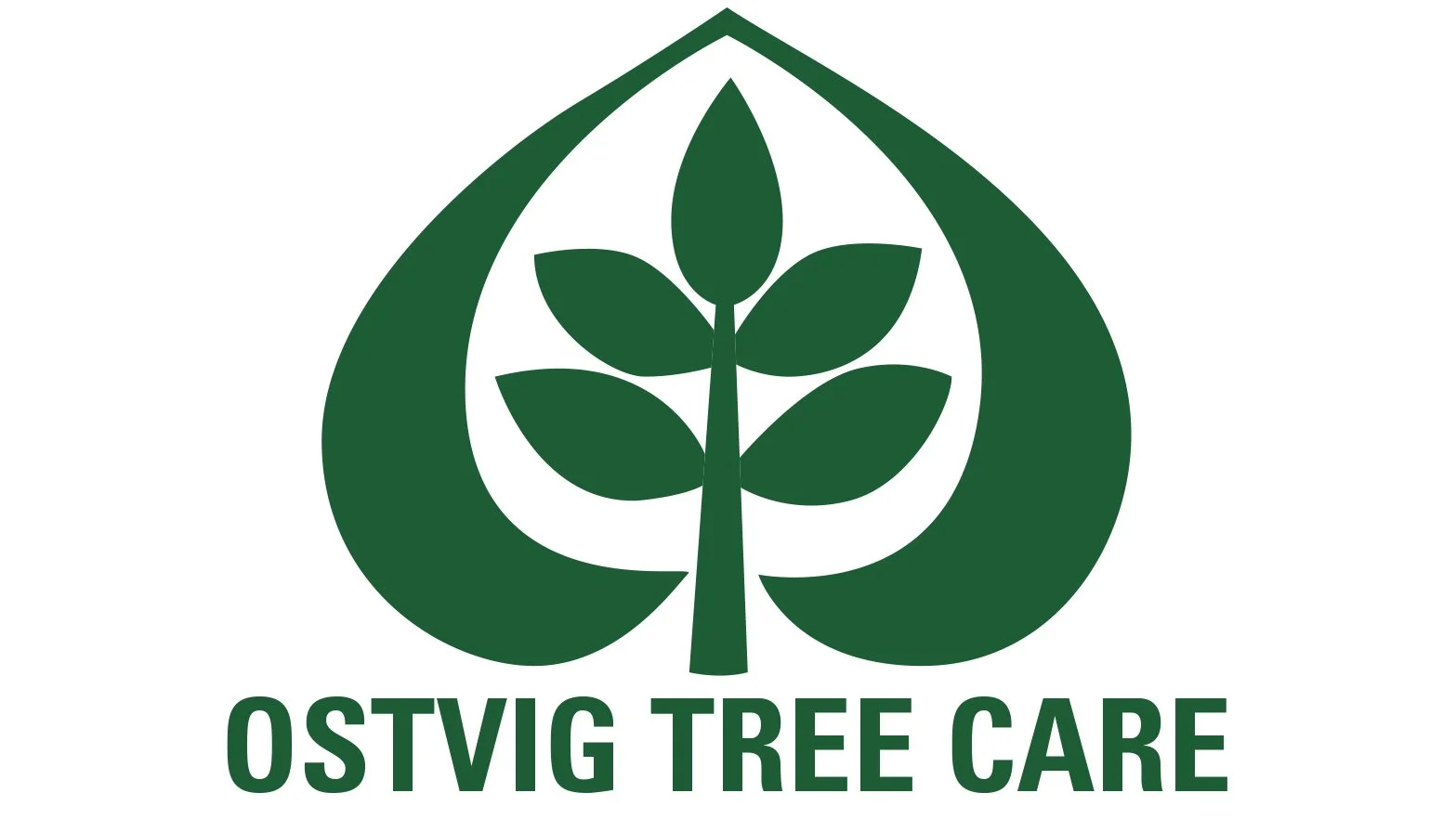 Ostvig Tree Care